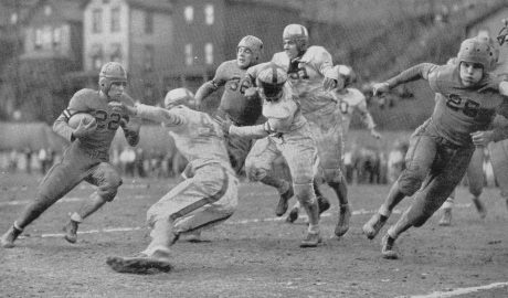 article image - 